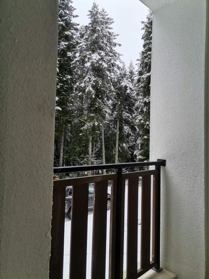 Studio A3 Borovets Gardens Eksteriør billede