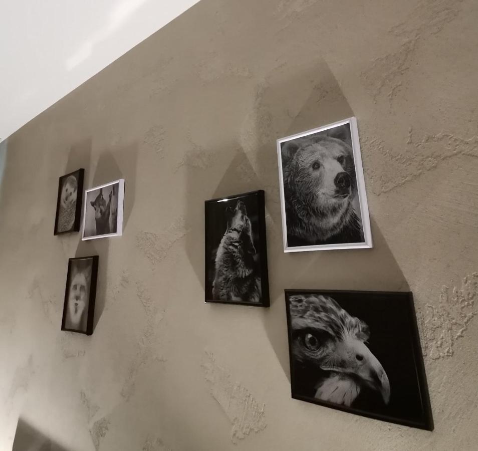 Studio A3 Borovets Gardens Eksteriør billede